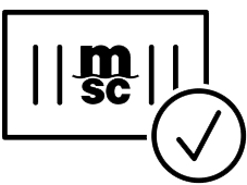 consulta-eir
